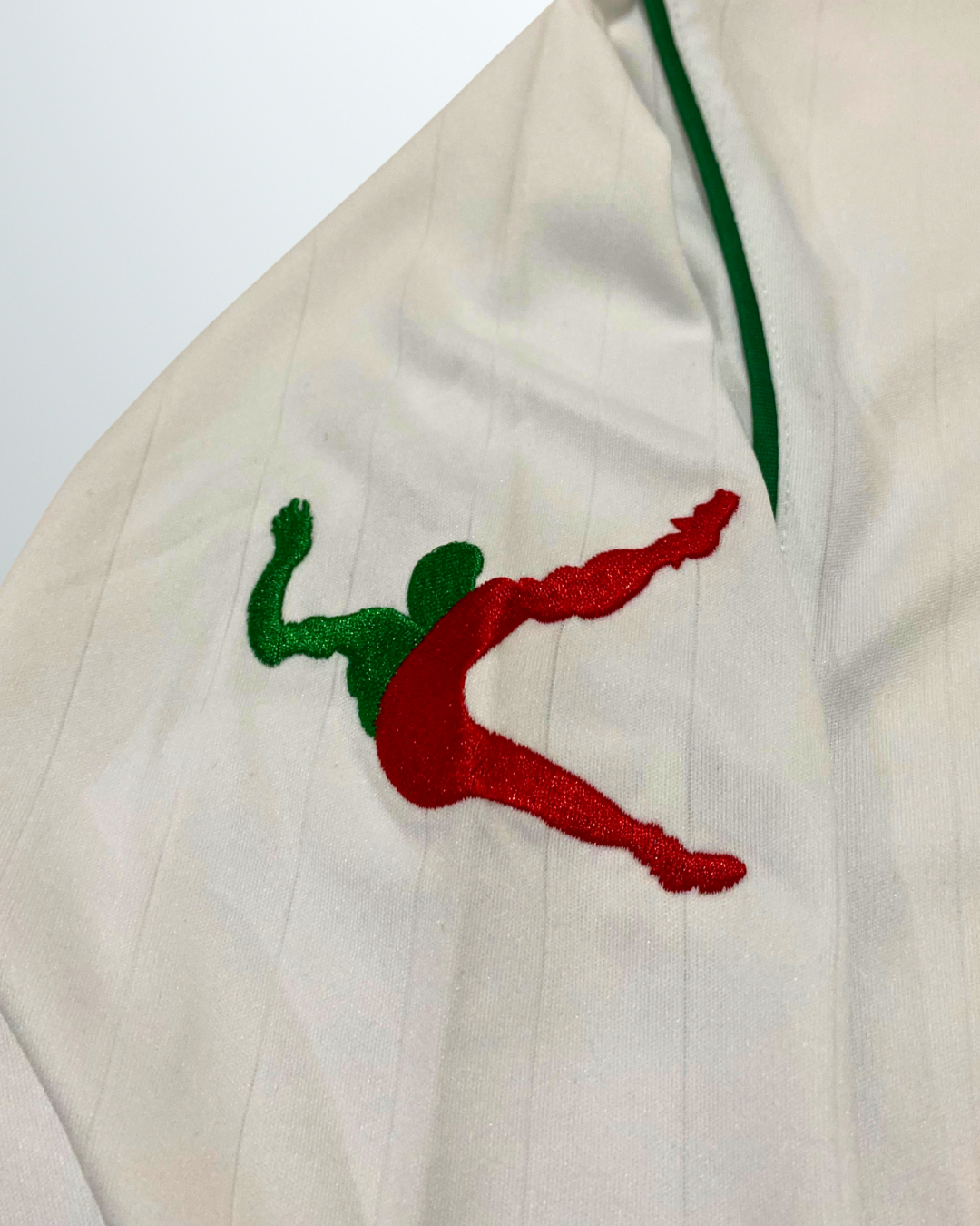 Iran 2010 Home Shirt L/S #20 Nosrati